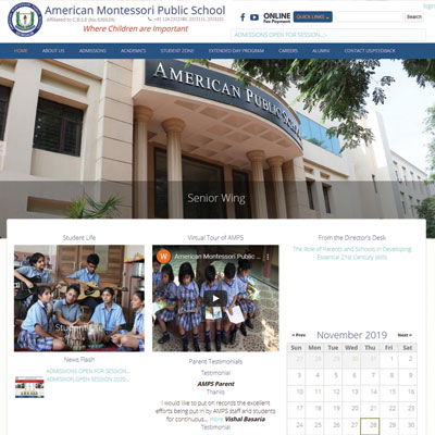 SEO Company for American Public School