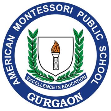 American Montessori Public School